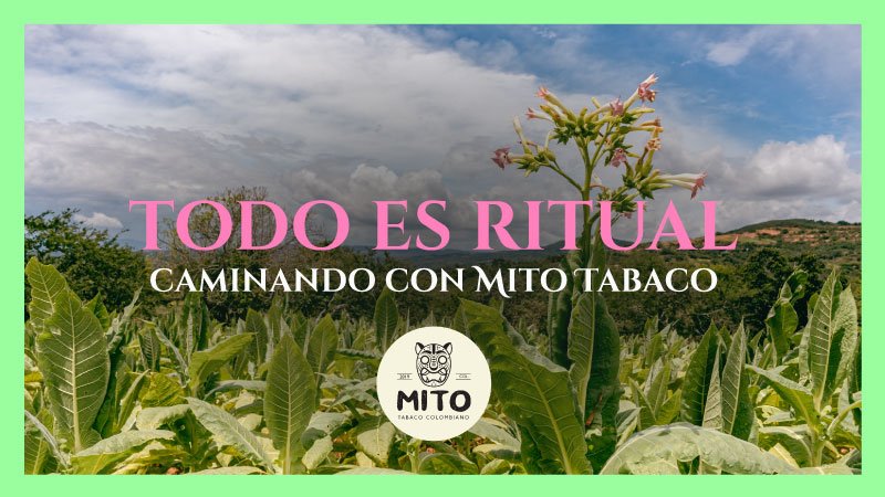 Todo es ritual: caminando con Mito Tabaco